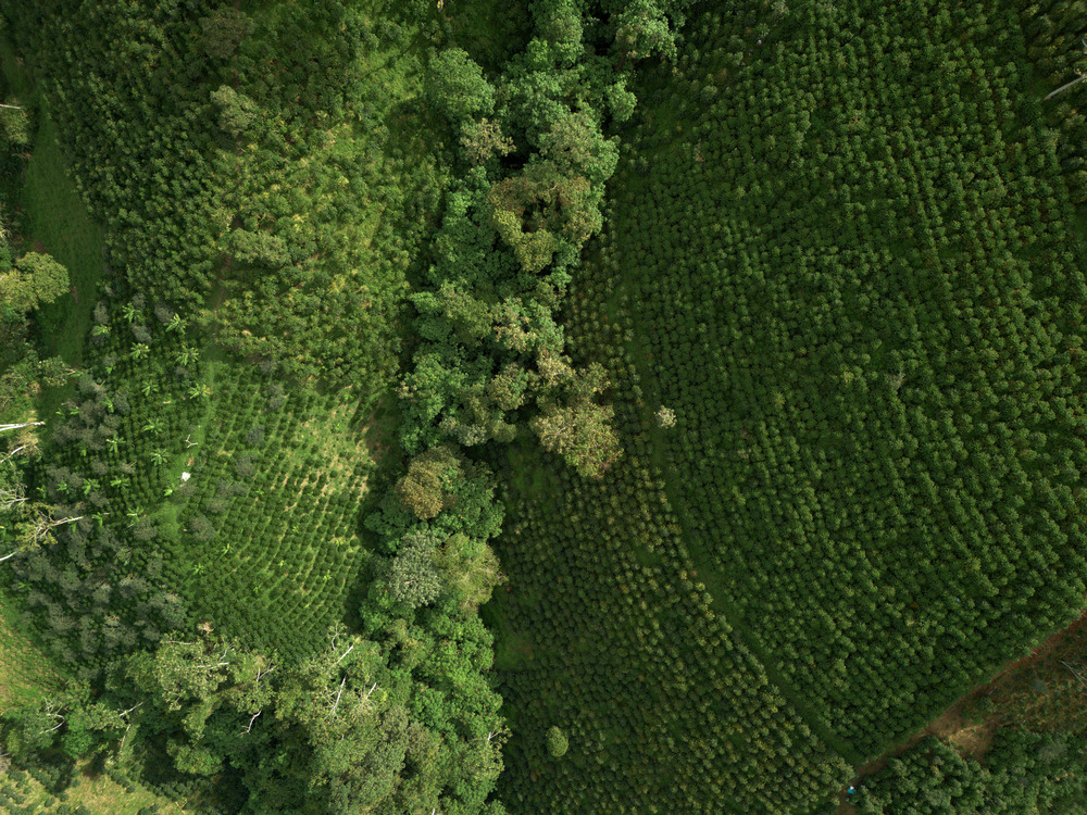 DJI_0060